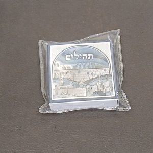 תהילים כיס